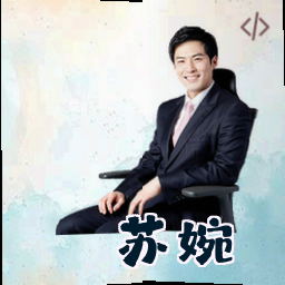 苏婉