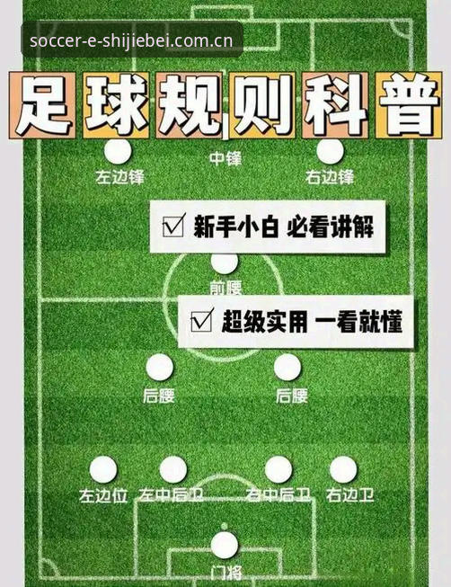 世界杯投注规则安卓版：如何快速上手并避开常见误区？